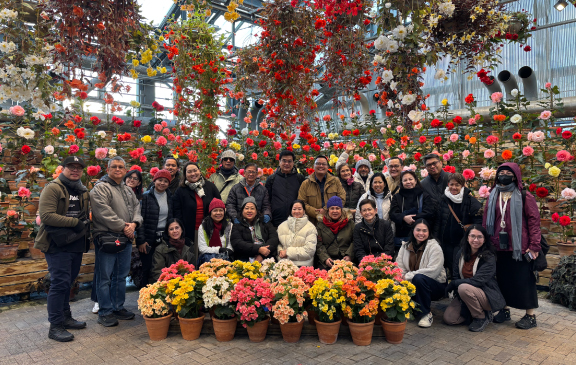 Why choose a private charter tour for exploring Japan