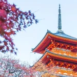 7 days autumn golden route tour in Japan