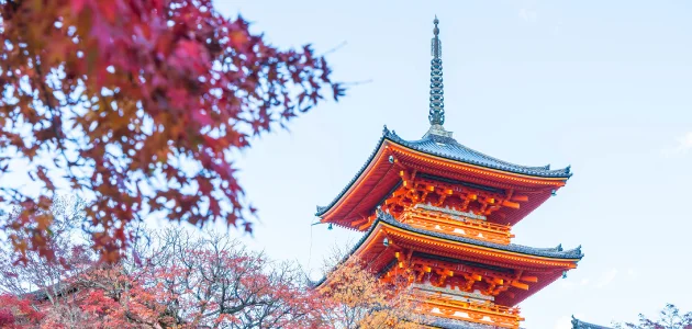 7 days autumn golden route tour in Japan