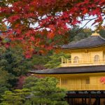 7 days autumn tour in Japan