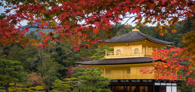 7 days autumn tour in Japan