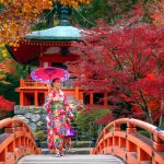 7 days autumn golden route tour