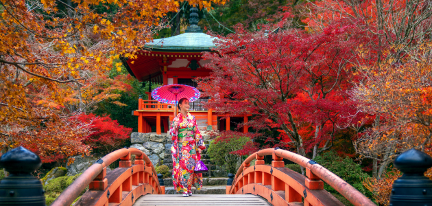 7 days autumn golden route tour