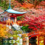 7 days autumn golden route tour in Japan