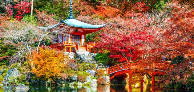 7 days autumn golden route tour in Japan