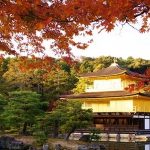 7 days autumn golden route tour Japan