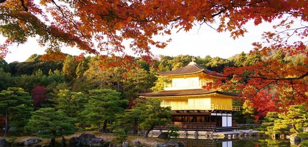 7 days autumn golden route tour Japan