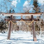 7 days winter tour in Japan