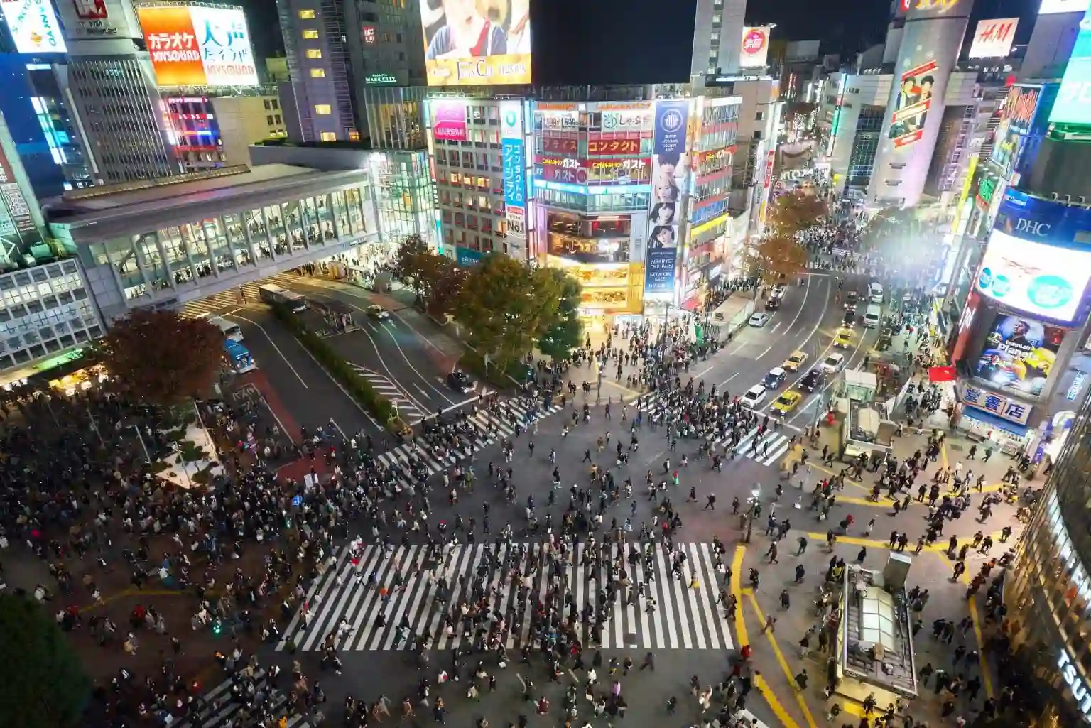 Must-Visit Places In Tokyo 
