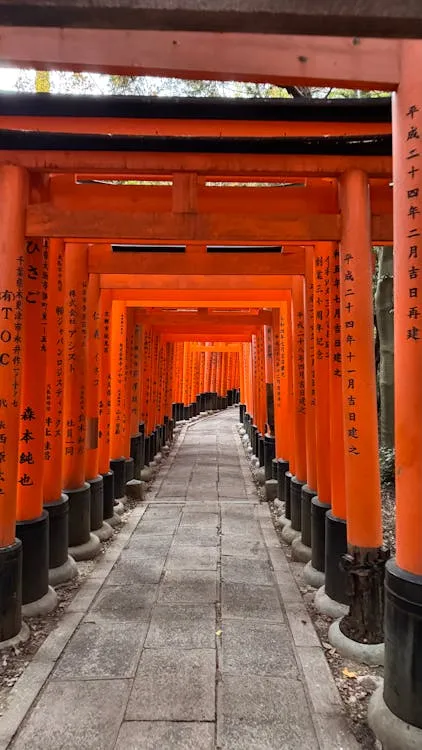 torii gate 