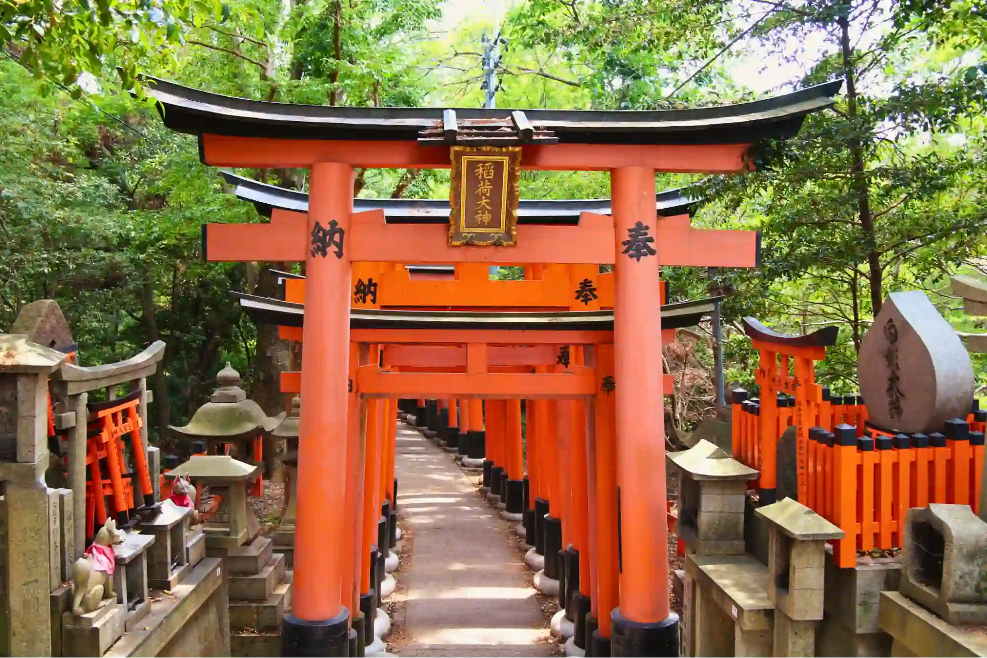 Fushimi Inari Taisha Torii Gate Pathway in Kyoto, Japan 