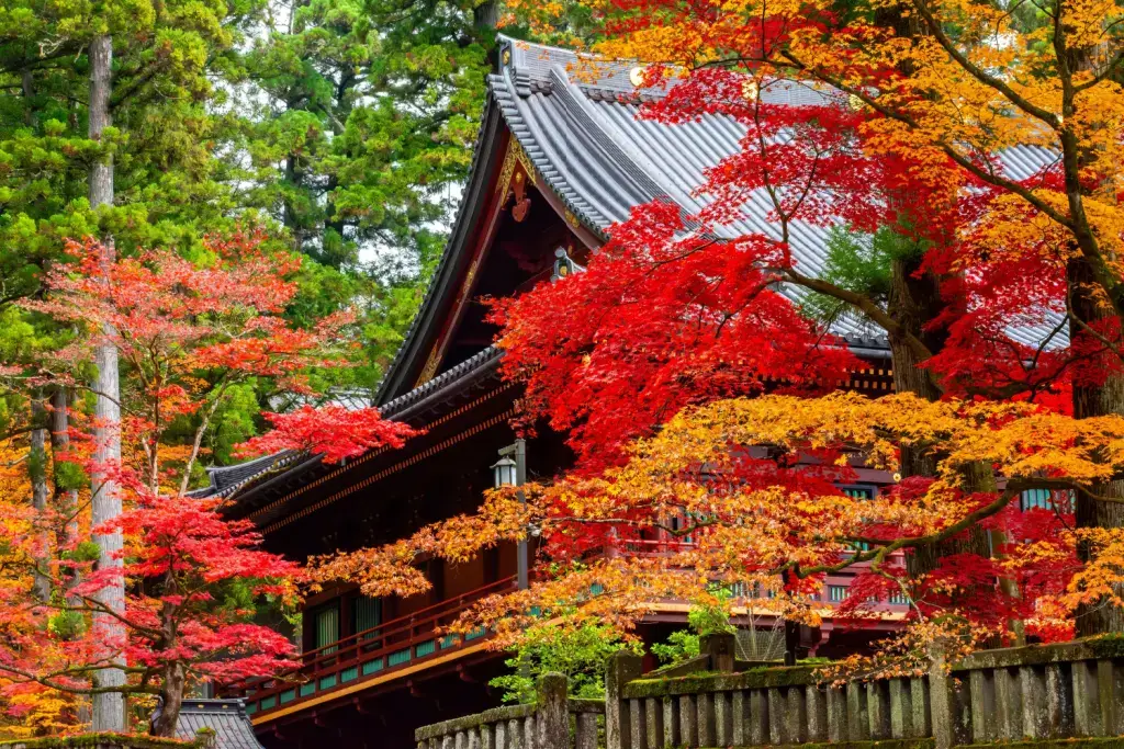 Autumn in Japan (September to November)